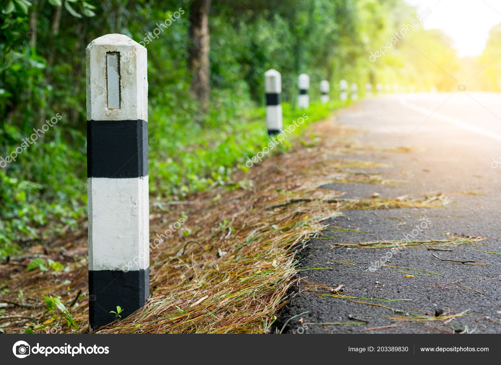 Black White Milestones Green Grass Roadside Trees Roadside Background  Concept Stock Photo by ©9wooddy 203389830
