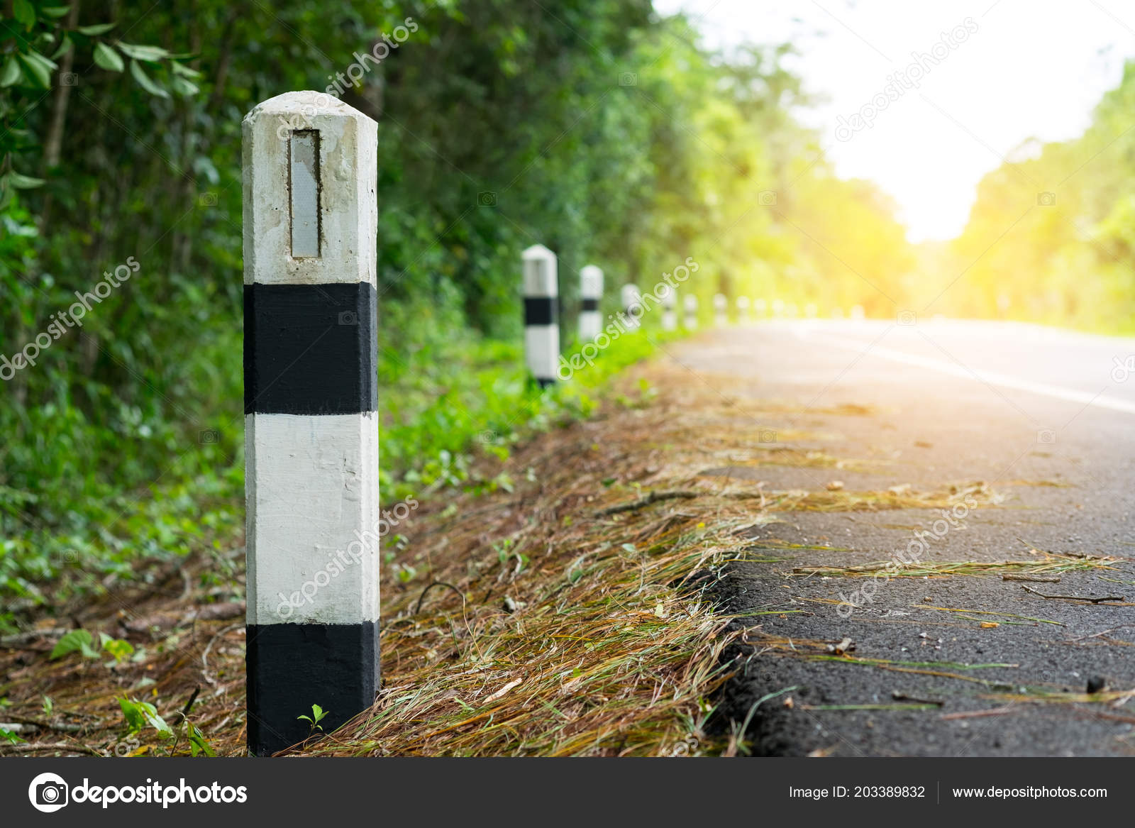 Black White Milestones Green Grass Roadside Trees Roadside Background  Concept Stock Photo by ©9wooddy 203389832