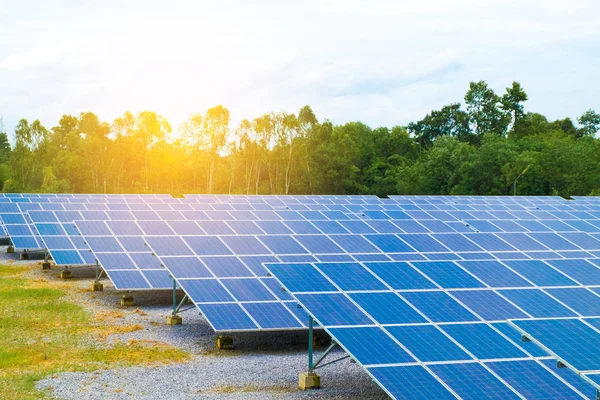 Fotovoltaik veya yenilenebilir enerji ya da elektrik için güneş paneli. Güneş panelleri güneş enerjisi elektrik energ dönüştürmek.