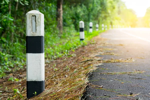 Siyah ve beyaz kilometre taşları yeşil çim yol kenarı, ağaçlar yol kenarı arka plan ile. bir sonraki adım için kavram. Bir sonraki istasyon.