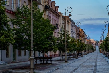 Simetrik şehir caddesi dekoratif sokak lambaları, banklar ve yapraklı ağaçlarla dolu..