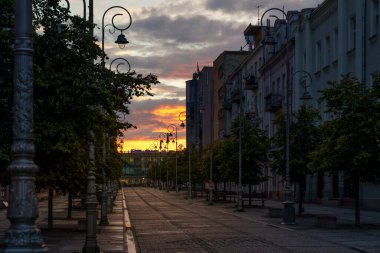 Şık sokak lambaları, ağaçlar ve tarihi cephelerle sırılsıklam olmuş şehir caddesi.