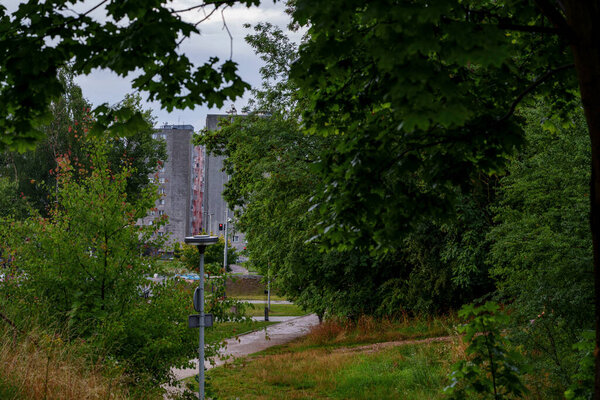 Тропа, граничащая с пышными деревьями и высокой травой, с многоквартирными домами на заднем плане.