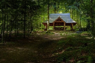 Kırsal ahşap bir çardak açık duruyor ve yoğun, yeşil öngörü yapısından oluşan güneşli bir alanda karşılıyor..