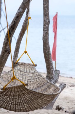 Deniz kıyısındaki palmiye ağacına boş hamak, tatil konsepti..