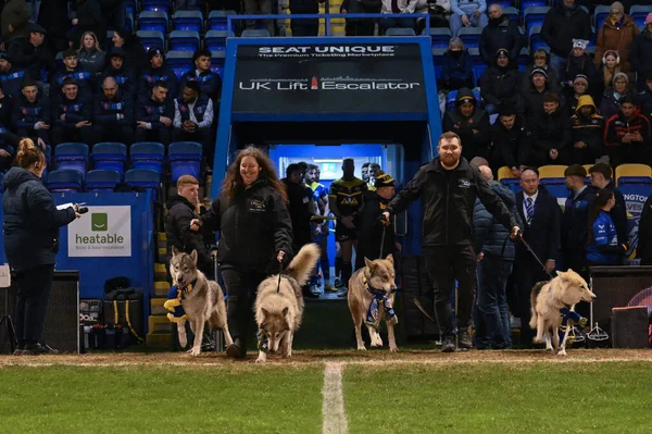 Wolven Komen Voor Wedstrijd Naar Buiten Tijdens Betfred Super League — Stockfoto