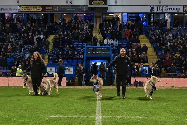 Wolves Come Out Game Betfred Super League Match Warrington Wolves — Stock Photo, Image