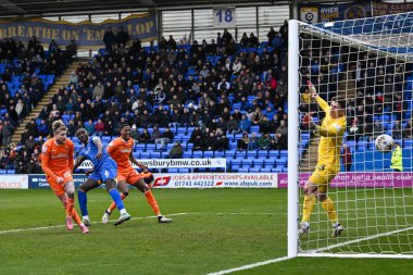 Blackpool takımından Hayden Coulson, 2 Mart 202 'de Croud Meadow, Shrewsbury, İngiltere' deki Shrewsbury Town-Blackpool maçında 0-2 berabere kaldı.