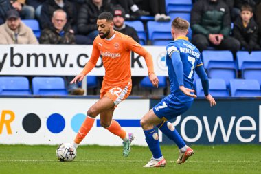 Blackpool 'dan CJ Hamilton, 2 Mart 202' de Croud Meadow, Shrewsbury, İngiltere 'deki Shrewsbury Town' a karşı oynanan 1.