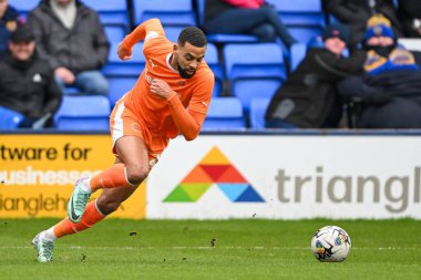 Blackpool 'dan CJ Hamilton, 2 Mart 202' de Croud Meadow, Shrewsbury, İngiltere 'deki Shrewsbury Town' a karşı oynanan 1.
