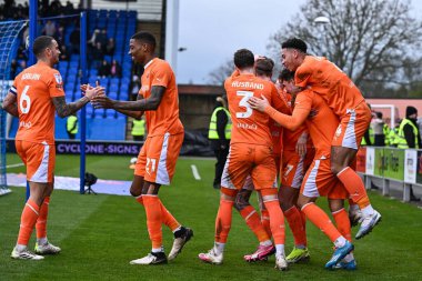 Blackpool 'dan Hayden Coulson, 2 Mart 202' de Croud Meadow, Shrewsbury, Birleşik Krallık 'ta oynanan Sky Bet Ligi 1 karşılaşmasında 0-2' lik galibiyet golünü kutluyor.