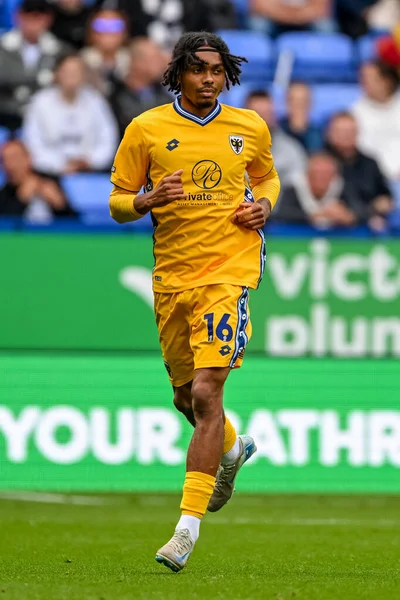 AFC Wimbledon takımından Antwoine Hackford 6 Eylül 2025 tarihinde İngiltere 'de oynanan Wimbledon maçında Bolton Wanderers, AFC Wimbledon' a karşı.