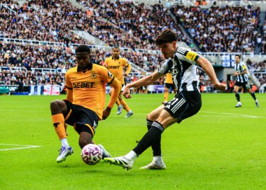 Newcastle United takımından Tino Livramento, 13 Eylül 2025 'te St. James' s Park, Newcastle, İngiltere 'de oynanan Premier League maçı sırasında Wolverhampton Wanderers' a karşı gol atma şansı yakaladı. 