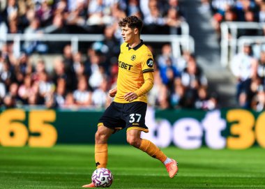 Wolverhampton Wanderers takımından Pedro Lima, 13 Eylül 2025 'te St. James' s Park, Newcastle, İngiltere 'de oynanan Premier League karşılaşmasında Wolverhampton Wanderers' a karşı. 