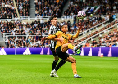 Wolverhampton Wanderers takımından Joo Gomes, Premier League maçında topu kontrol ediyor. Newcastle United, Wolverhampton Wanderers 'a karşı. St. James' s Park, Newcastle, İngiltere, 13 Eylül 2025