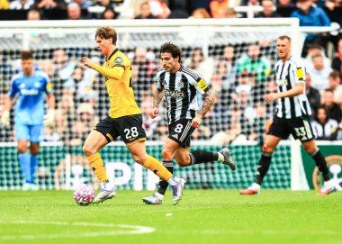 Newcastle United takımından Sandro Tonali, Premier Lig karşılaşmasında Wolverhampton Wanderers 'a karşı St. James' s Park, Newcastle, İngiltere, 13 Eylül 2025 'de oynanan karşılaşmada Wolverhampton Wanderers' dan Fer Lopez 'e baskı yaptı.