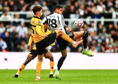 Newcastle United takımından William Osula, 13 Eylül 2025 'te İngiltere, Newcastle' daki St. James 's Park' ta oynanan Premier League karşılaşmasında Wolverhampton Wanderers 'a karşı mücadele etti. 