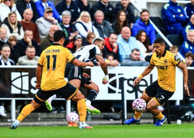 Newcastle United takımından Joelinton, 13 Eylül 2025 'te St. James' s Park, Newcastle 'da oynanan Premier League karşılaşmasında Wolverhampton Wanderers' a karşı. 