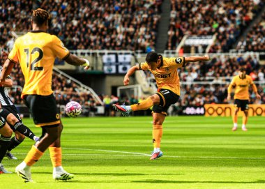 Wolverhampton Wanderers takımından Hwang Hee-Chan, 13 Eylül 2025 'te St. James' s Park, Newcastle, İngiltere 'de oynanan Premier League maçı Newcastle United ve Wolverhampton Wanderers maçında gol atma şansı yakaladı. 