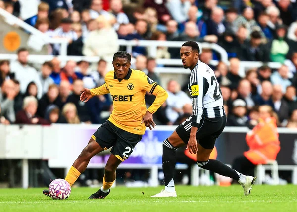 Wolverhampton Wanderers takımından Jean-Ricner Bellegarde, Premier League karşılaşmasında Newcastle United 'a karşı Wolverhampton Wanderers, St. James' s Park, Newcastle, İngiltere, 13 Eylül 2025