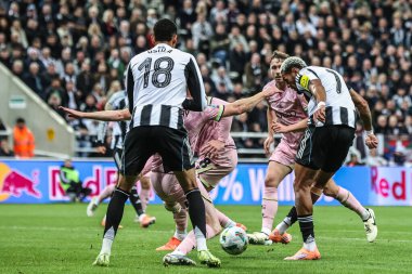 Newcastle Untied takımından Joelinton, 24 Eylül 2025 'te St.James' s Park, Newcastle, İngiltere 'de oynanan 3. Carabao Kupası karşılaşmasında 1-0 berabere kaldı. 