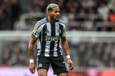Newcastle 'dan Joelinton 24 Eylül 2025' te St.James 's Park, Newcastle' da oynanan Carabao Kupası 3. Raundda, Newcastle United ile Bradford City maçında berabere kalmadı. 