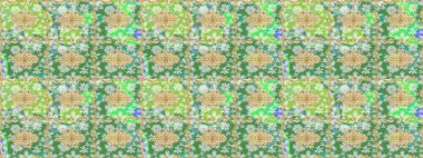 Ortaçağ çiçek desenini çiz. Raster illüstrasyonu. Dekoratif simetri arabesk. Doğum günü kartı, davetiye ya da afiş için iyidir. Yeşil renkte altın.