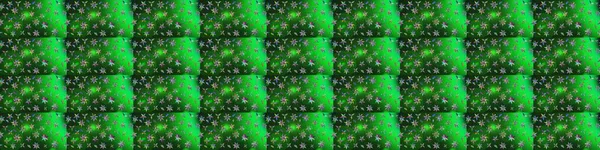 Raster - stok. Yapraklı çiçekler ve yeşil ve mavi renkli papatya çiçekleri. Taslak arkaplan deseni.