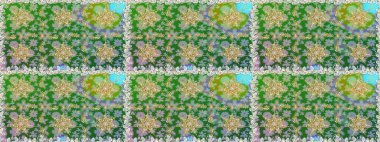 Raster. Kusursuz altın desenli bukleler. Yeşil ve nötr renklerde altın elementlerle kusursuz desen. Doğu tarzı arabesk. Parlak dantel, çiçekler, şal deseni. Zarif altın deseni aç.