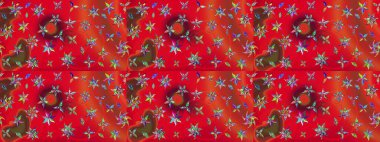 Kırmızı ve turuncu renkte etnik çiçeklerle süslenmiş zarif bir eskiz şekli. Raster Çiçek İllüstrasyon Şirin Tekstil.