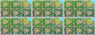 Raster. Kusursuz altın desenli bukleler. Yeşil ve nötr renklerde altın elementlerle kusursuz desen. Doğu tarzı arabesk. Parlak dantel, çiçekler, şal deseni. Zarif altın deseni aç.