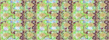 Süslü raster dekorasyonu. Barok tarzında duvar kâğıdı tasarımı için eskiz şablonu arka planı. Altın elementlerle nötr renklerde altın desen.