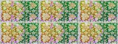 Barok tarzında kusursuz bir doğulu süsü. Tarafsız renklerde ve altın elementlerle geleneksel klasik altın raster deseni.