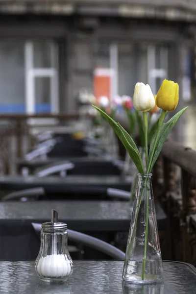Tulips in a glass vase next to a Sugar glass shaker