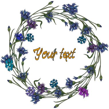 Wreath of cornflowers. Summer time, vector frame of flowers for your design. clipart