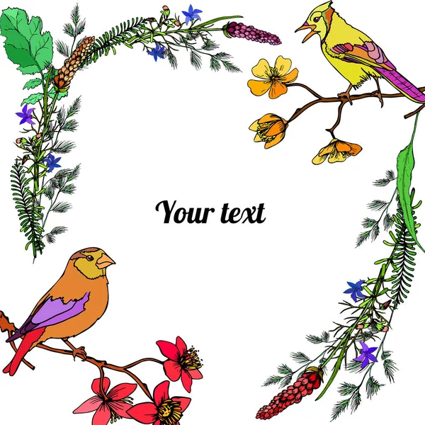 Marco Las Flores Con Los Pájaros Con Lugar Para Texto — Archivo Imágenes Vectoriales