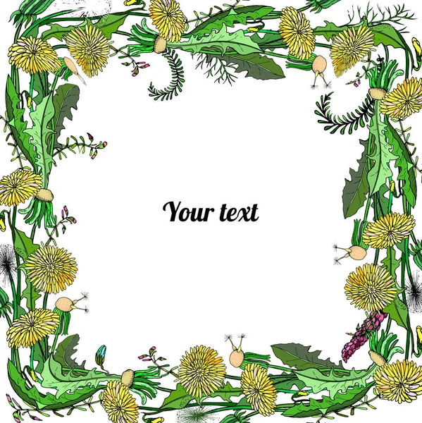 Rahmen Aus Löwenzahn Und Blumen Mit Platz Für Einen Text — Stockvektor