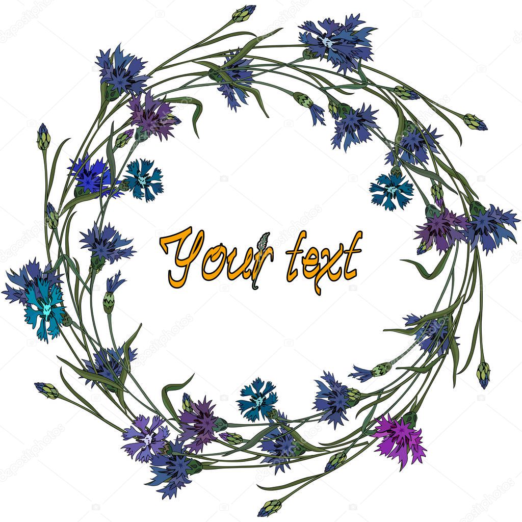 Wreath of cornflowers. Summer time, vector frame of flowers for your design.