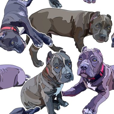 Pitbulls ile sorunsuz arka plan. Vektör çizim, Eps 10