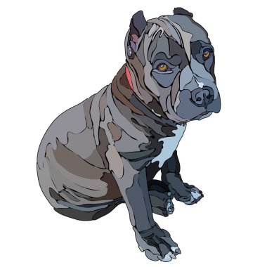 Oturma pitbull, vektör çizim. EPS 10