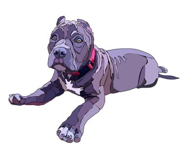 Pitbull yalan, illüstrasyon vektör. EPS 10