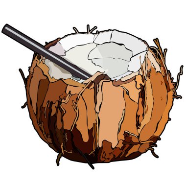 Beach Hindistan cevizine kokteyl. Vektör çizim