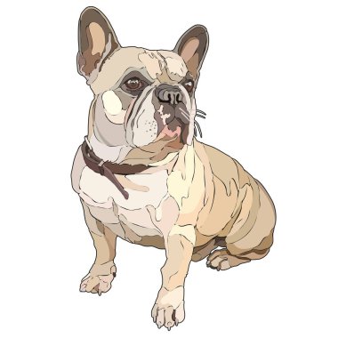 Oturma pug Illustration. Vektör, Eps10