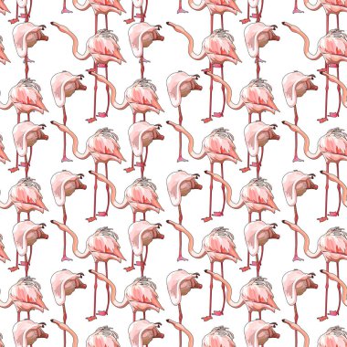 Flamingolar ile sorunsuz arka plan