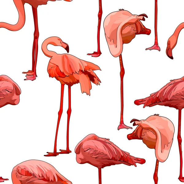 Fundo Sem Costura Com Flamingos Ilustração Vetorial Eps — Vetor de Stock