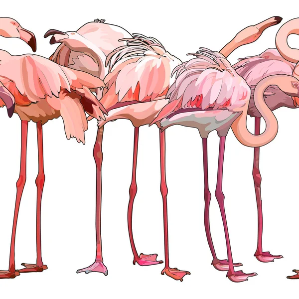 Sömlös Bakgrund Med Flamingos Vektorillustration Eps — Stock vektor