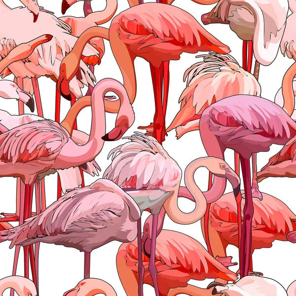 Nahtloser Hintergrund Mit Flamingos Vektor Illustration Folge — Stockvektor
