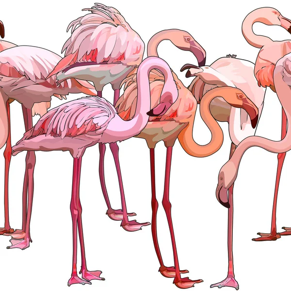 Sömlös Bakgrund Med Flamingos Vektorillustration Eps — Stock vektor