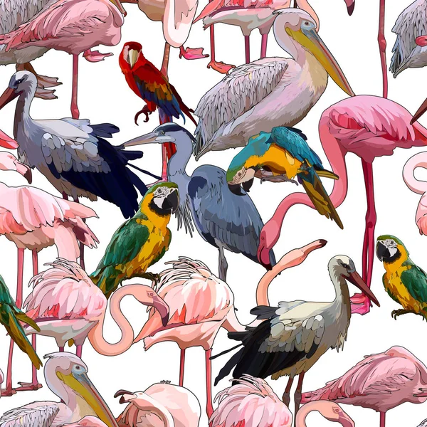 Fond Sans Couture Avec Des Oiseaux Tropicaux Illustration Vectorielle Eps — Image vectorielle