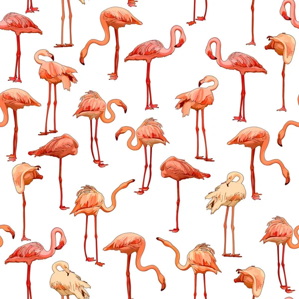 Fundo Sem Costura Com Flamingos Ilustração Vetorial Eps — Vetor de Stock